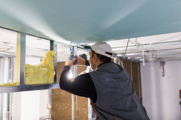 Best Insulation Maintenance and Repair in Sun Valley, PA